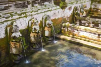 Jungle Haven Resort Central Ubud Hotels in Bali