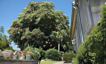 Haus Keppelborg: ZI Rosina Mit Burggartenblick
