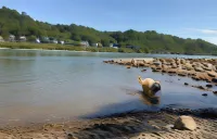 RheinVilla Arte Hotels in Remagen