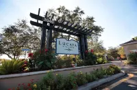 Marvelous 3 Bd Close to Disney @ Lucaya Resort 107 5364