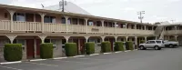 Shelton Inn