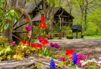 Panketo Lodge & Yoga Studio