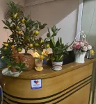 Phong don co cua so thoang mat khep kin + Thang may - Bed and Breakfasts