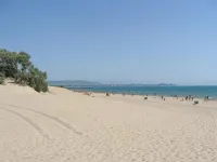 Мандарин