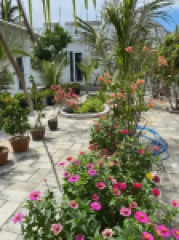 Khách sạn Windyhills Các khách sạn gần Làng chài Mũi Né