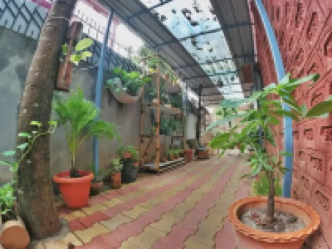 Stargaze Backpackers Hostel Hotels in 