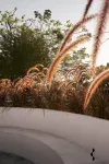 Coast House Private Villa Mandwa Alibaug Hotels in Awas