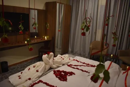 Delights Inn - Green Oasis Hotel Отели рядом с Аэропорт Медина