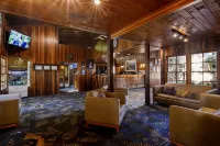 O'Reilly's Rainforest Retreat - 3-Star