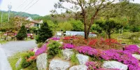 Wonju Gamaksan Hwangtobang Pension