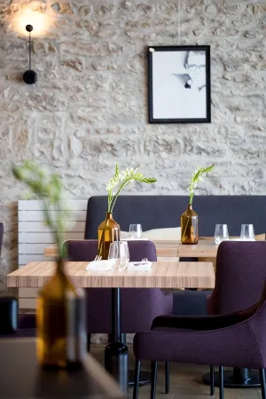 Castel de Tres Girard Отели в г. Жевре-Шамбертен