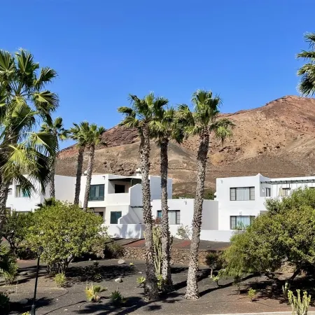 Palmeras Garden