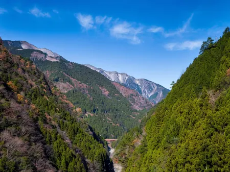 Iyabijin