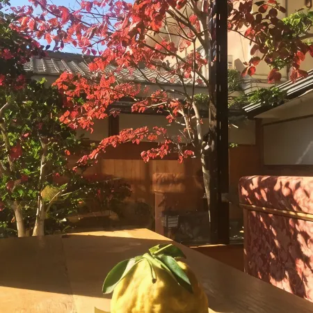 Ryokan Hinode Onsen