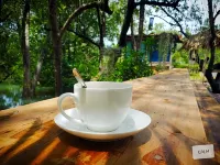 Calm at Bangphat Hotels in Phang Nga Town