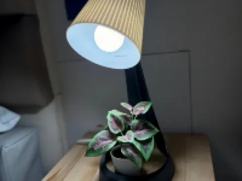 B&B Capovento Della Murgia Hotels in Altamura