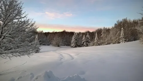 Guesthouse Bor Plitvice Lakes In der Nähe des Hotels Photos