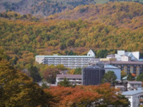 Buna Kusatsu Onsen Inn