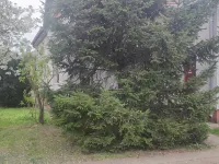 Budapest Garden Stay Hotel dekat Bandara Ferenc Liszt