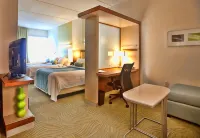 SpringHill Suites Tampa North/I-75 Tampa Palms