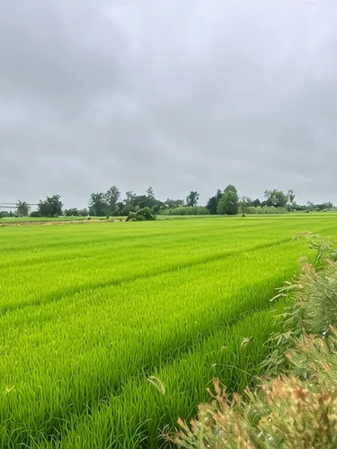 รูปภาพของรีสอร์ทบ้านอุ้ม