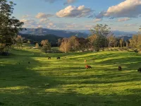 'Infinity Cottage'  - surrounded by orchards, pasture, bush and mountains Hoteles en Wingham