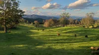 'Infinity Cottage'  - surrounded by orchards, pasture, bush and mountains