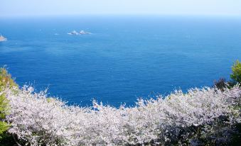 Kumano No Yado Umihikari