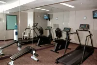 Best Western Plus Meridian - Træningscentre