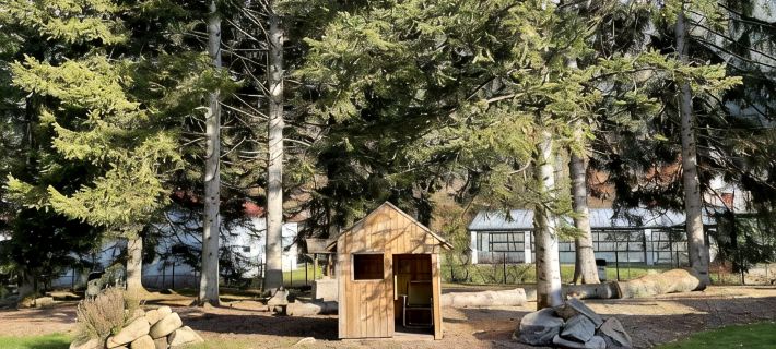 Chalet Capucine 1 in the heart of the Vosges mountains Hotels in Gerardmer