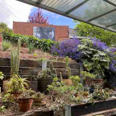 Arty Californian Bungalow Home in the Heart of Hobart Hotel Exterior