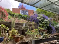 Arty Californian Bungalow Home in the Heart of Hobart - Bungalows