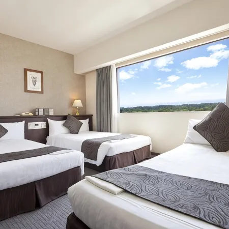 Hotel Francs