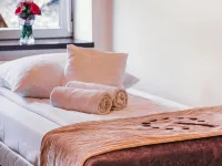 Boutique Hostel Hotels near Scheibler Power Station