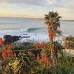 Whale Bay Surf House + Spa - Absolute Waterfront