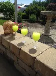 Unwind and Relax at Vineyard with Hot Tub and Massage On Site!
