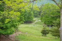 Pet Friendly-Mountain Getaway-Close 2 Everything - Boutique