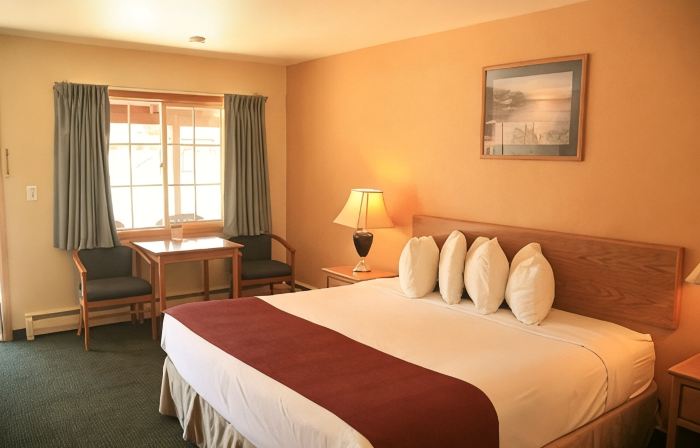 Econo Lodge Inn & Suites Montrose - Black Canyon Area