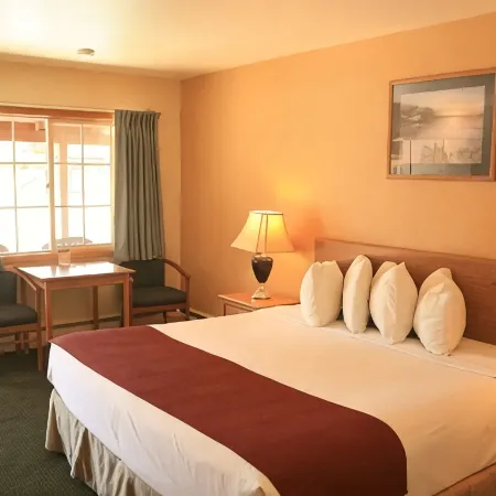 Econo Lodge Inn & Suites Montrose - Black Canyon Area