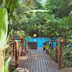Selva de Laurel - Pet friendly