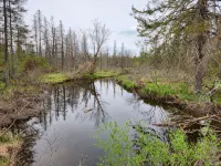 Week Discount. RV on 365 AC Parcel with 15 Mile Stream Running Thru the Property - 2 estrellas