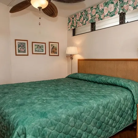 1 Bedroom Ocean View Kona Reef Condo-Recent Remodel & AC Throughout - Free WiFi
