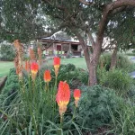 Forellenhof Guest Farm - Villas