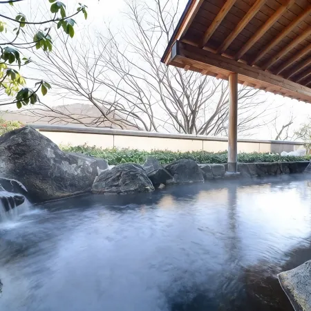 Iizaka Onsen Surikamitei Ohtori