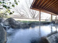 Iizaka Onsen Surikamitei Ohtori - Kuumat lähteet