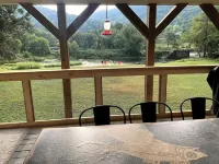 Kayak/Canoe/Fish & Relax right from the backyard of this Riverfront 3 B/R home! - Wifi
