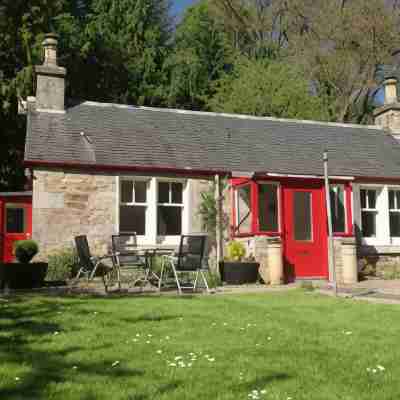 Annslea Garden Cottage Hotel Exterior