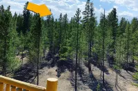 Rocky Bear Lodge on 2 Acres Near Turquoise Lake - 3 estrellas