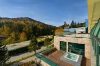 Hotel Pegaz - Mountain View