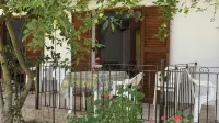 Pefka Studios & Apartments - balcony